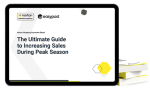 The Ultimate Guide to Increasing Ecommerce Sales During Peak Season